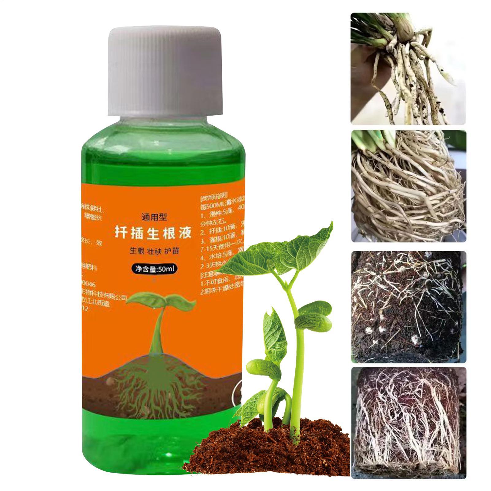 Root Stimulator Liquid - Высокоэффективный стимулятор корнеобразования для растений: средство