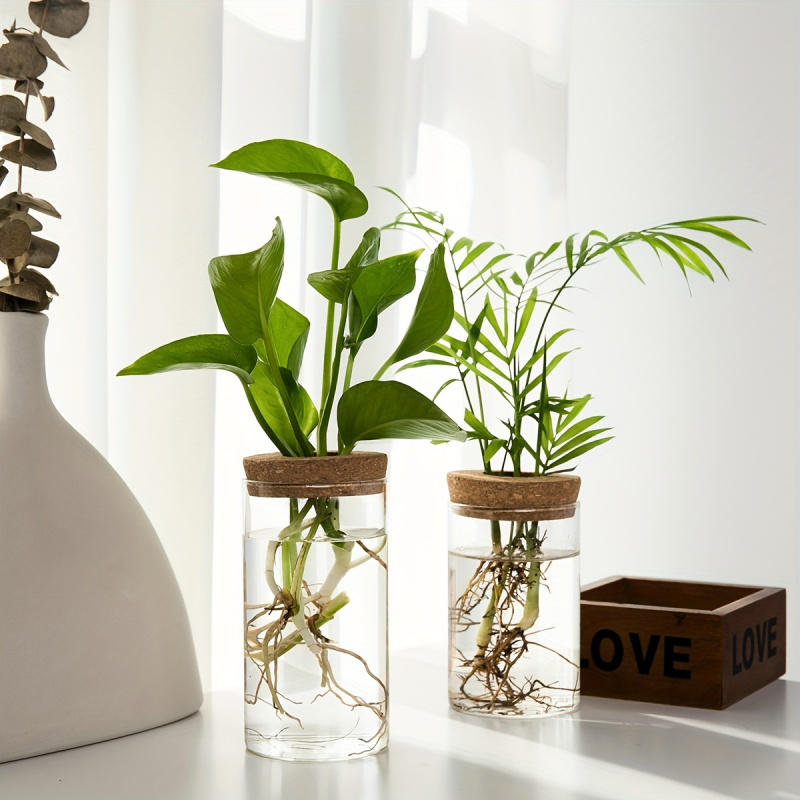 1 шт., Настольная Ваза для рас – обзор и цена Propagation Station Vase