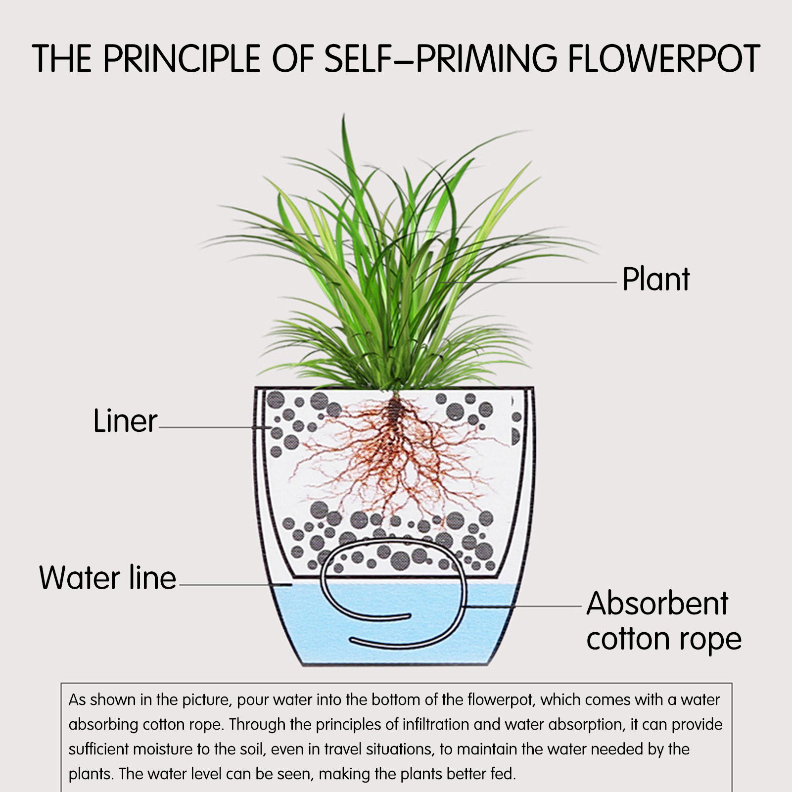 Автоматический самополивающийс – обзор и цена Self Watering Insert