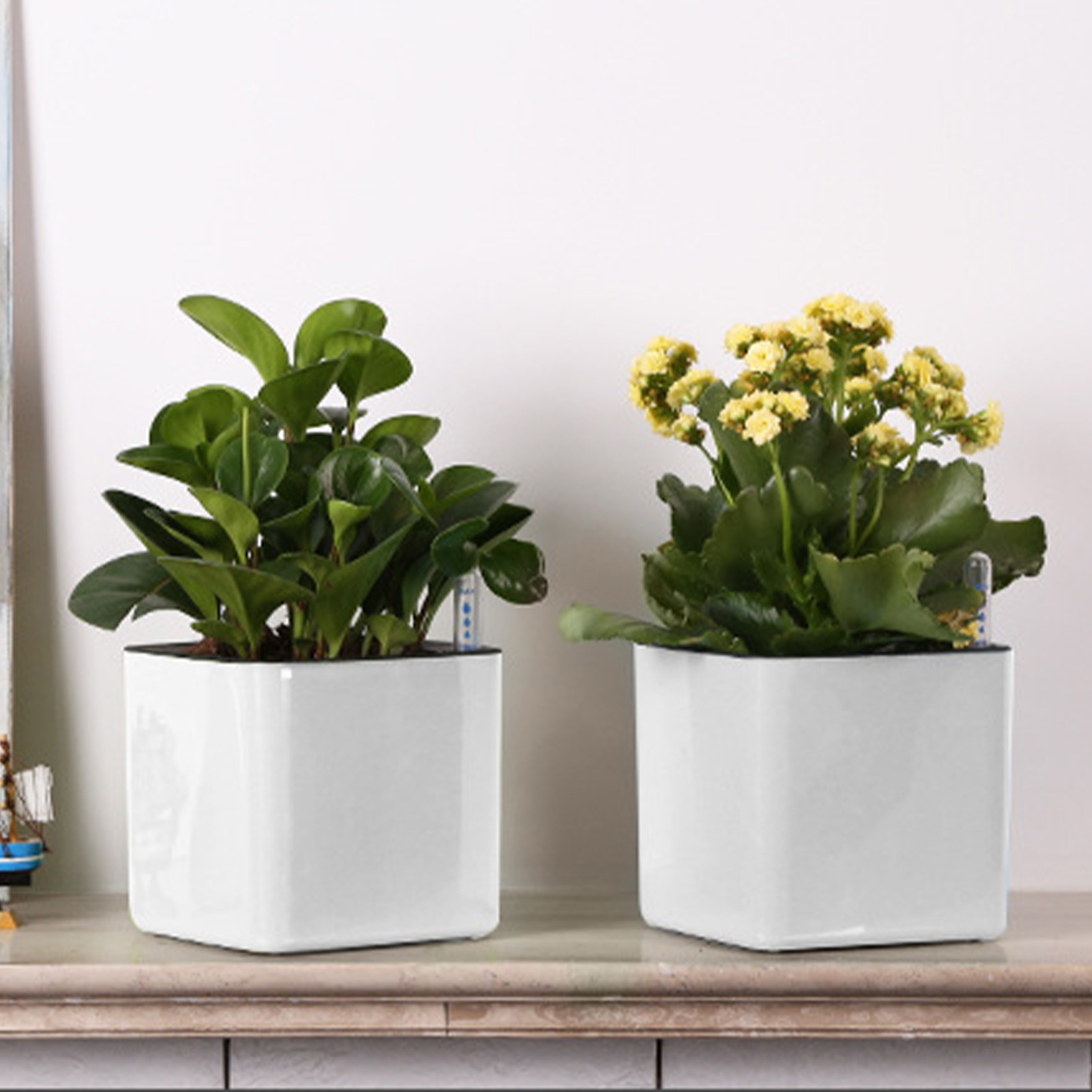 3-размерный ленивый цветочный  – обзор и цена Self Watering Insert