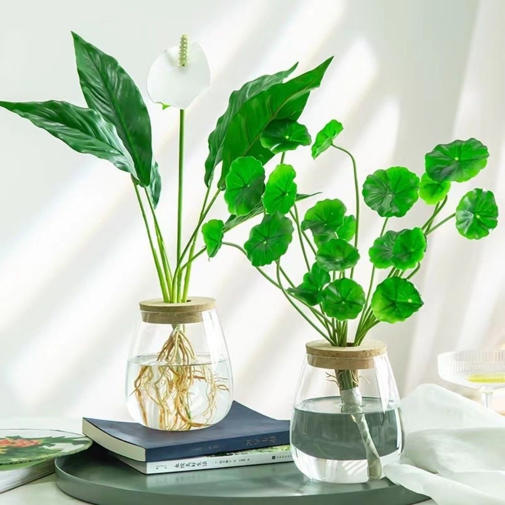 Прозрачный гидропонный цветочн – обзор и цена Propagation Station Vase