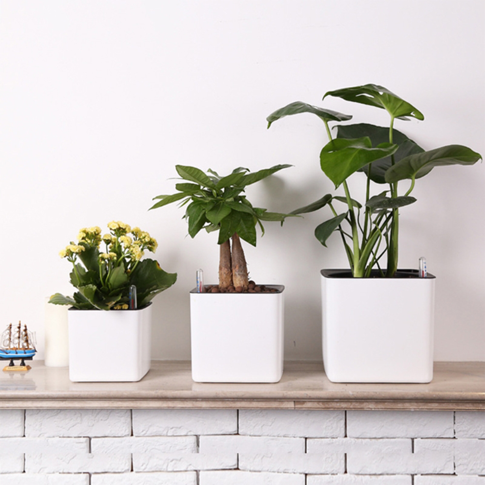 Кашпо с автополивом, горшок с  – обзор и цена Self Watering Insert