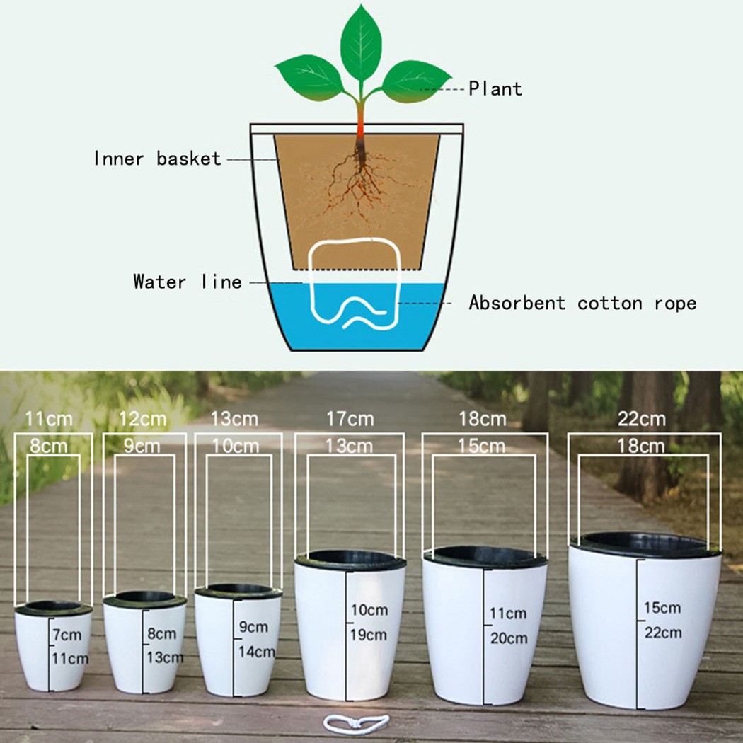 Горшок для цветов с автоматиче – обзор и цена Self Watering Insert