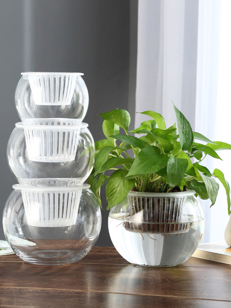 Гидропонная стеклянная ваза дл – обзор и цена Propagation Station Vase