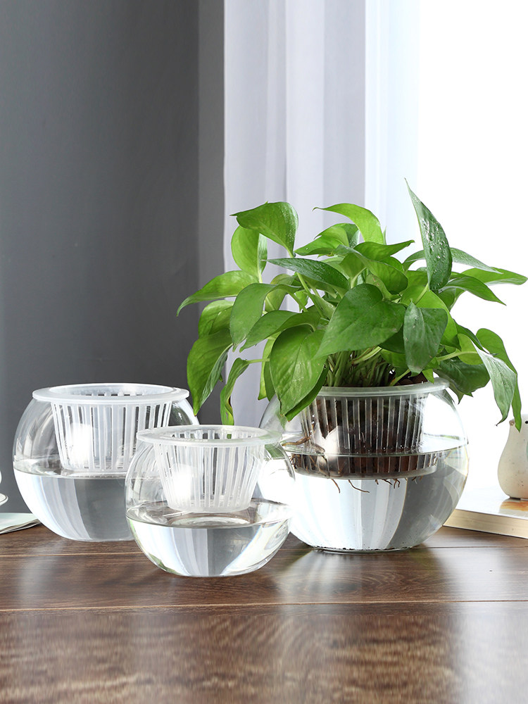 Гидропонная стеклянная ваза дл – обзор и цена Propagation Station Vase